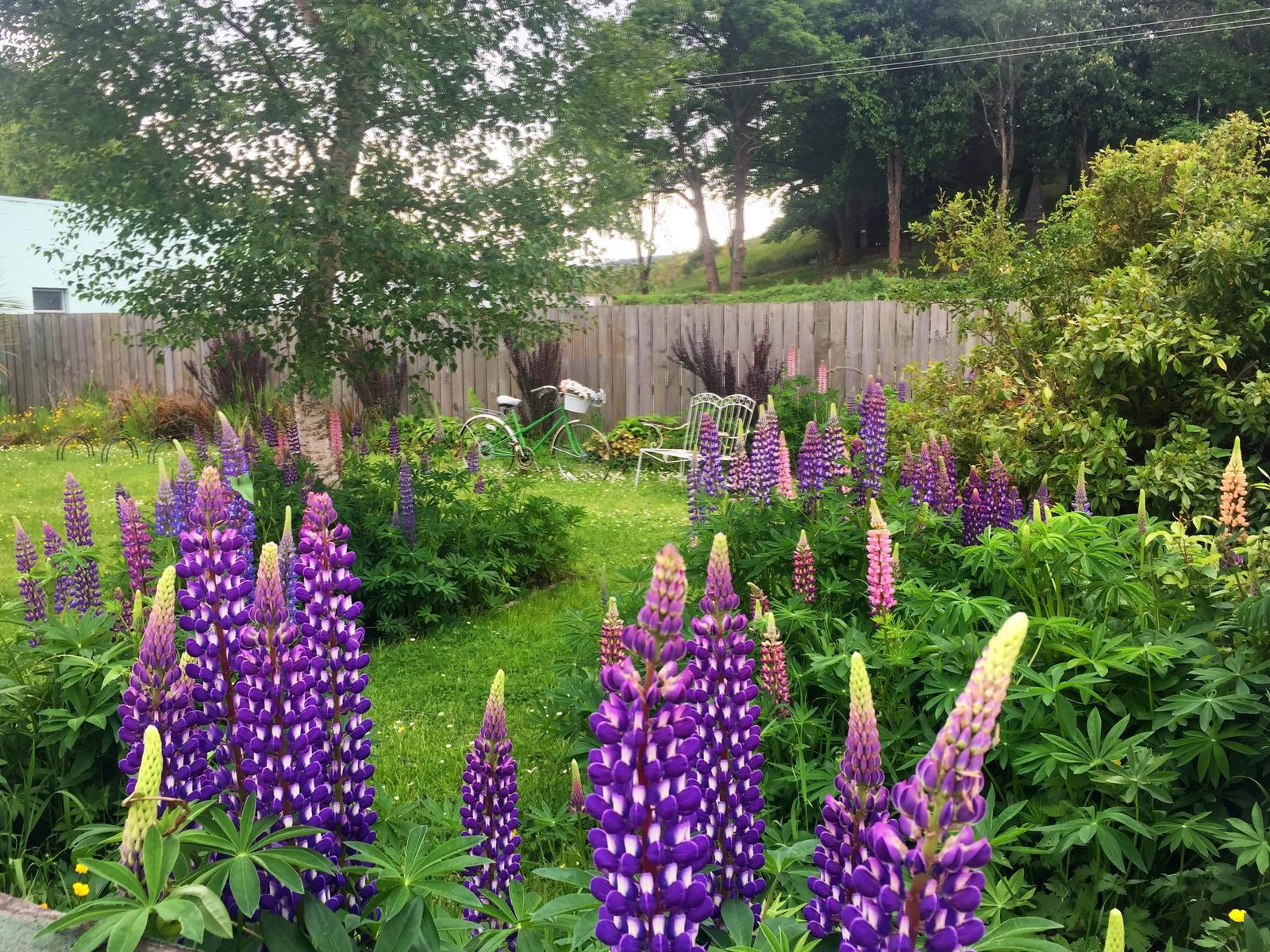 Click image for larger version

Name:	IMG_0444.JPG
Views:	216
Size:	515.4 KB
ID:	154631