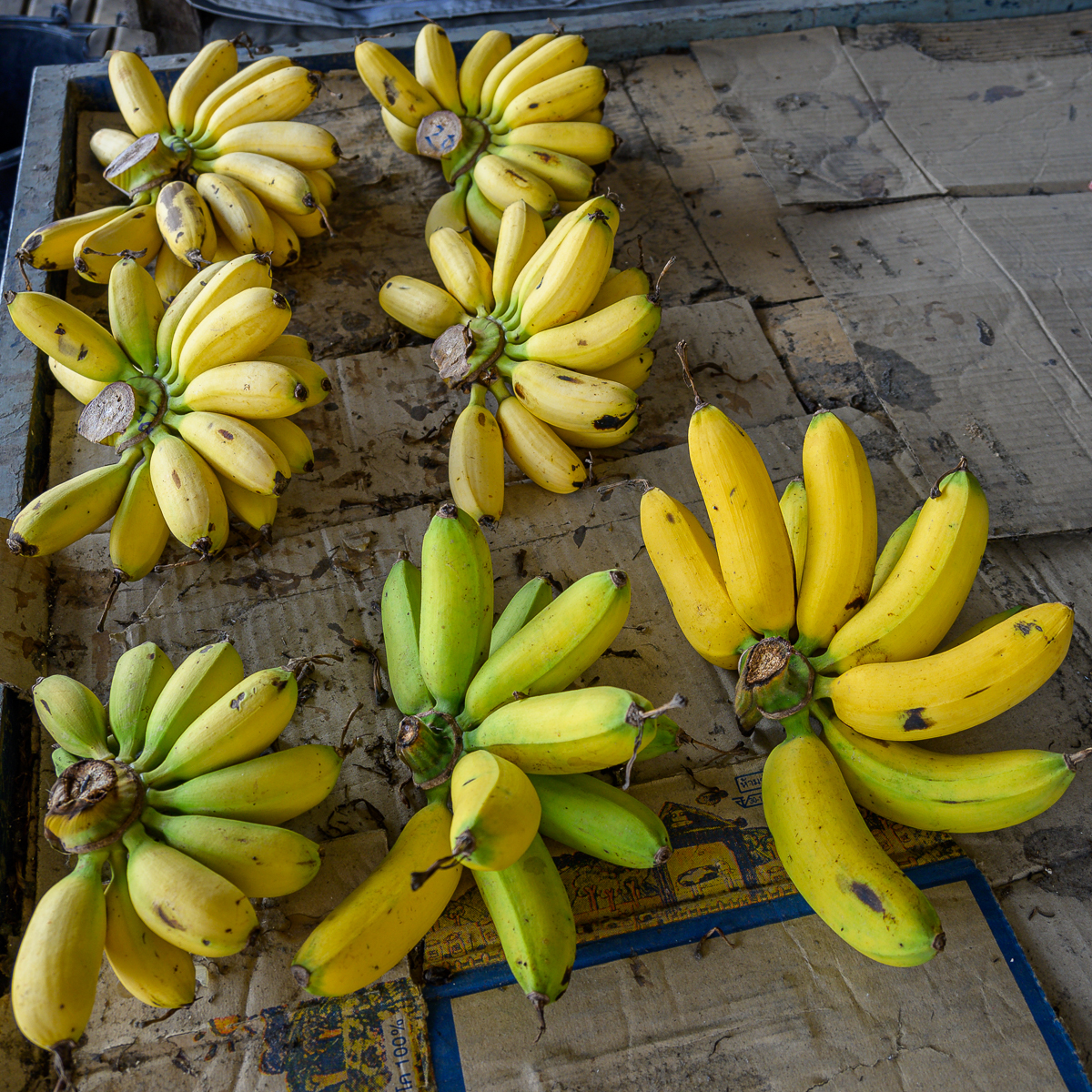 Click image for larger version

Name:	bananas-2.jpg
Views:	132
Size:	1.64 MB
ID:	154666