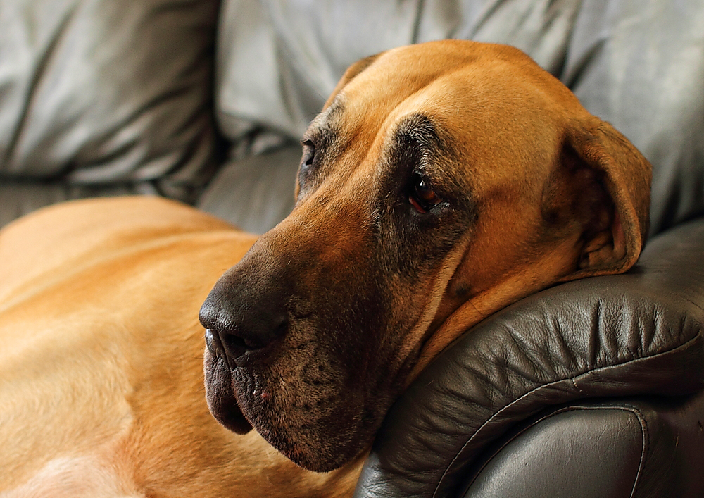 Click image for larger version

Name:	GarryFrench_58.jpg
Views:	109
Size:	690.7 KB
ID:	154814