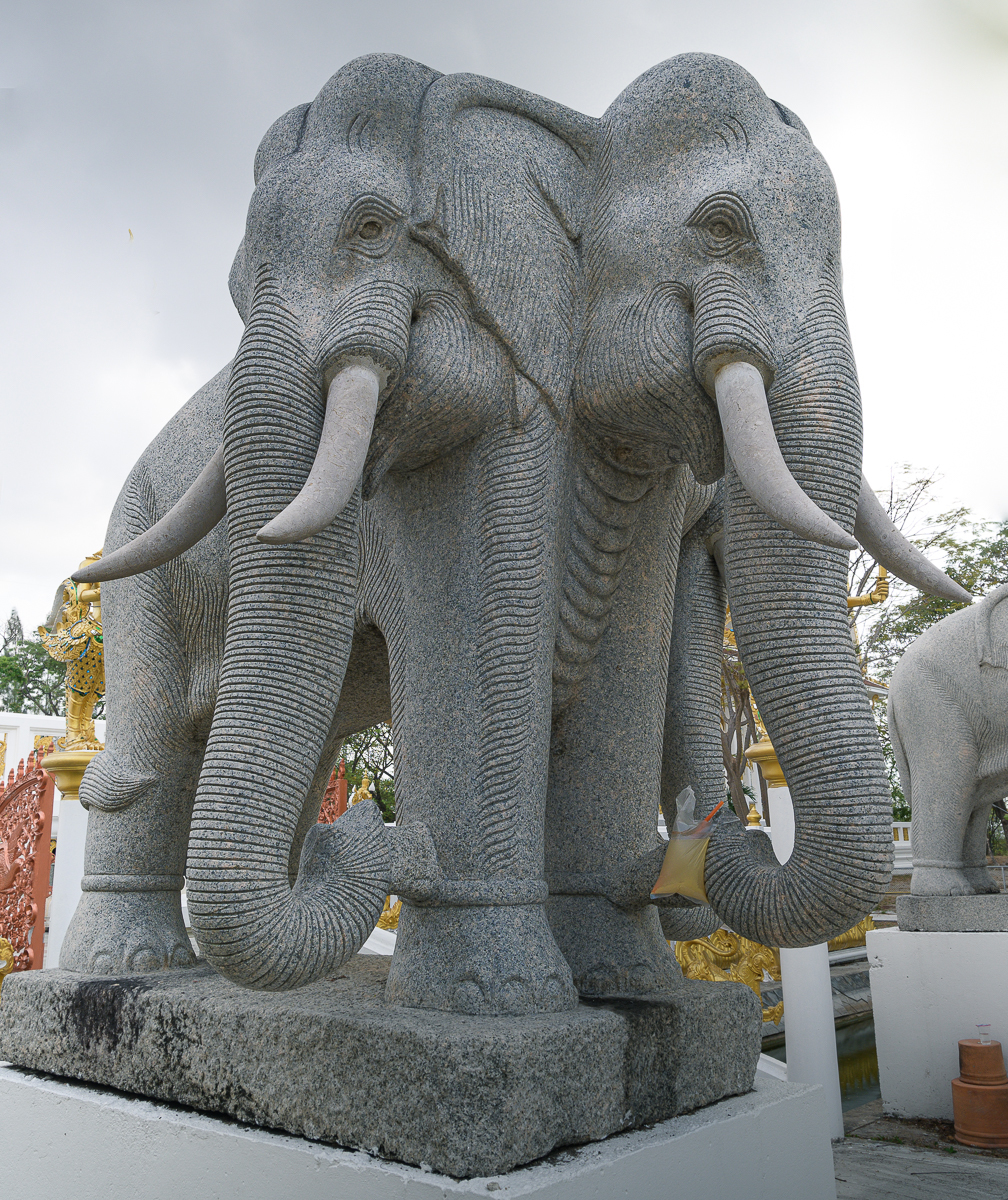 Click image for larger version

Name:	elephant-1-2.jpg
Views:	81
Size:	1.41 MB
ID:	154897