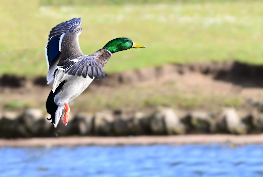 Click image for larger version

Name:	DSC_3751.jpg
Views:	80
Size:	128.3 KB
ID:	154916