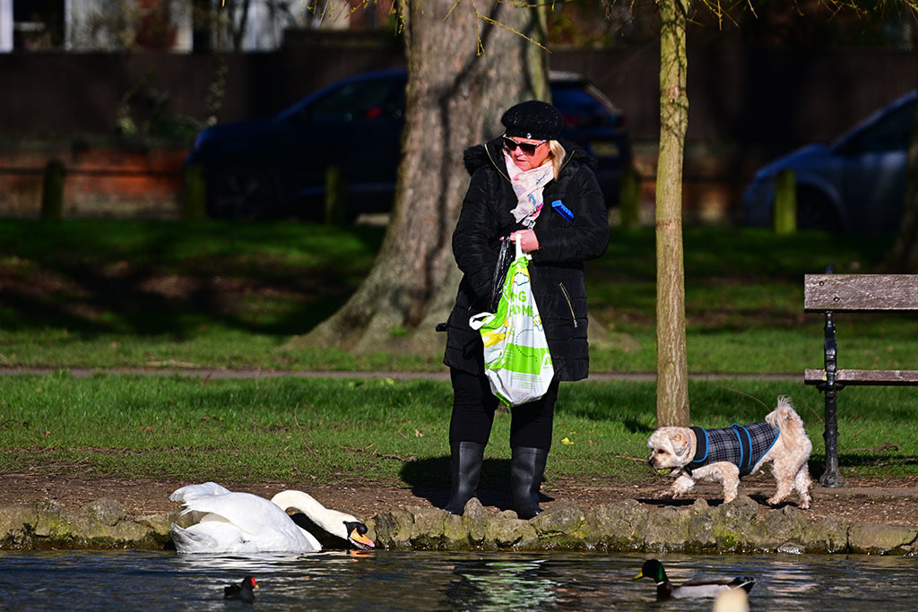 Click image for larger version

Name:	DSC_3860.jpg
Views:	83
Size:	231.6 KB
ID:	154946