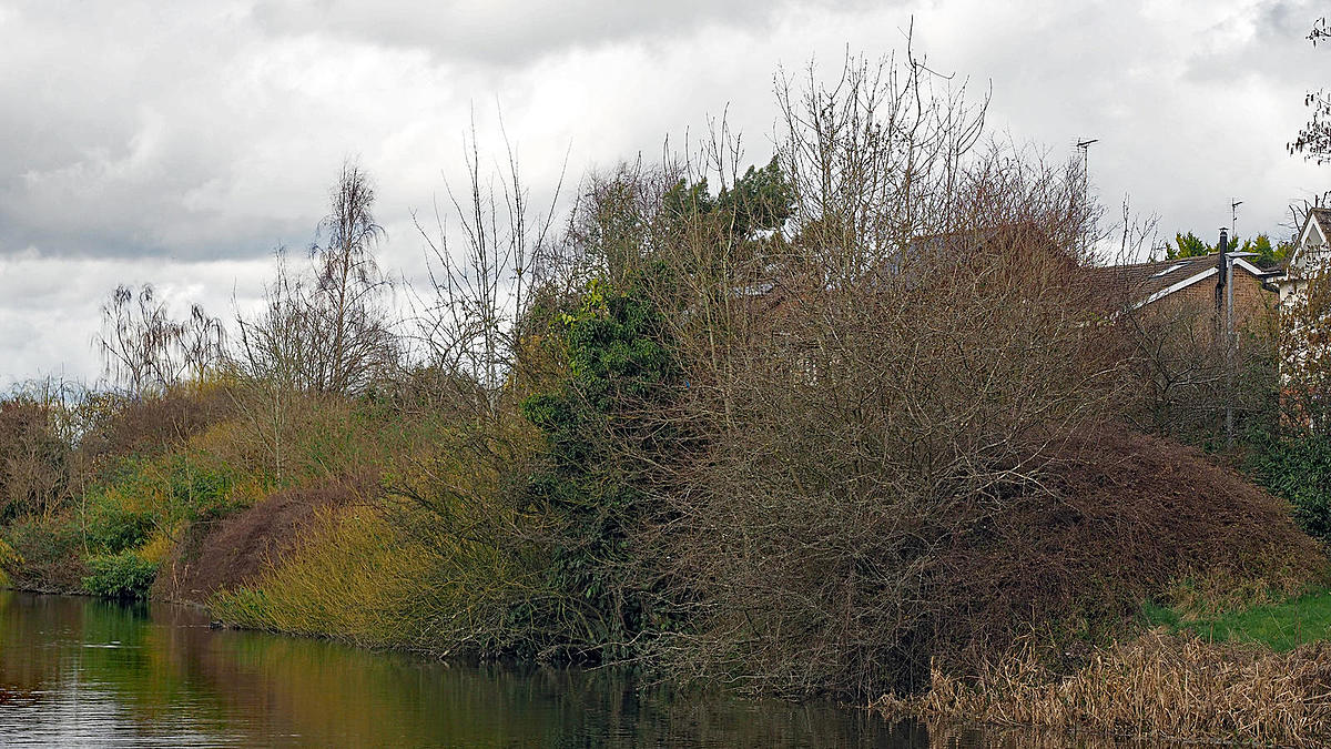 Click image for larger version

Name:	Spot the Kingfisher reduced.jpg
Views:	66
Size:	396.9 KB
ID:	155012