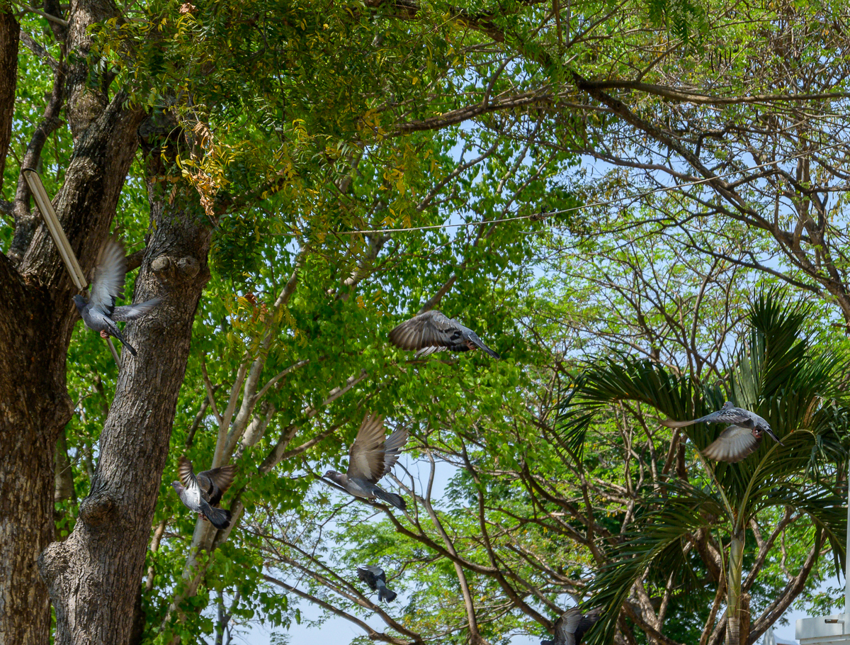 Click image for larger version

Name:	bif-1.jpg
Views:	64
Size:	1.83 MB
ID:	155019