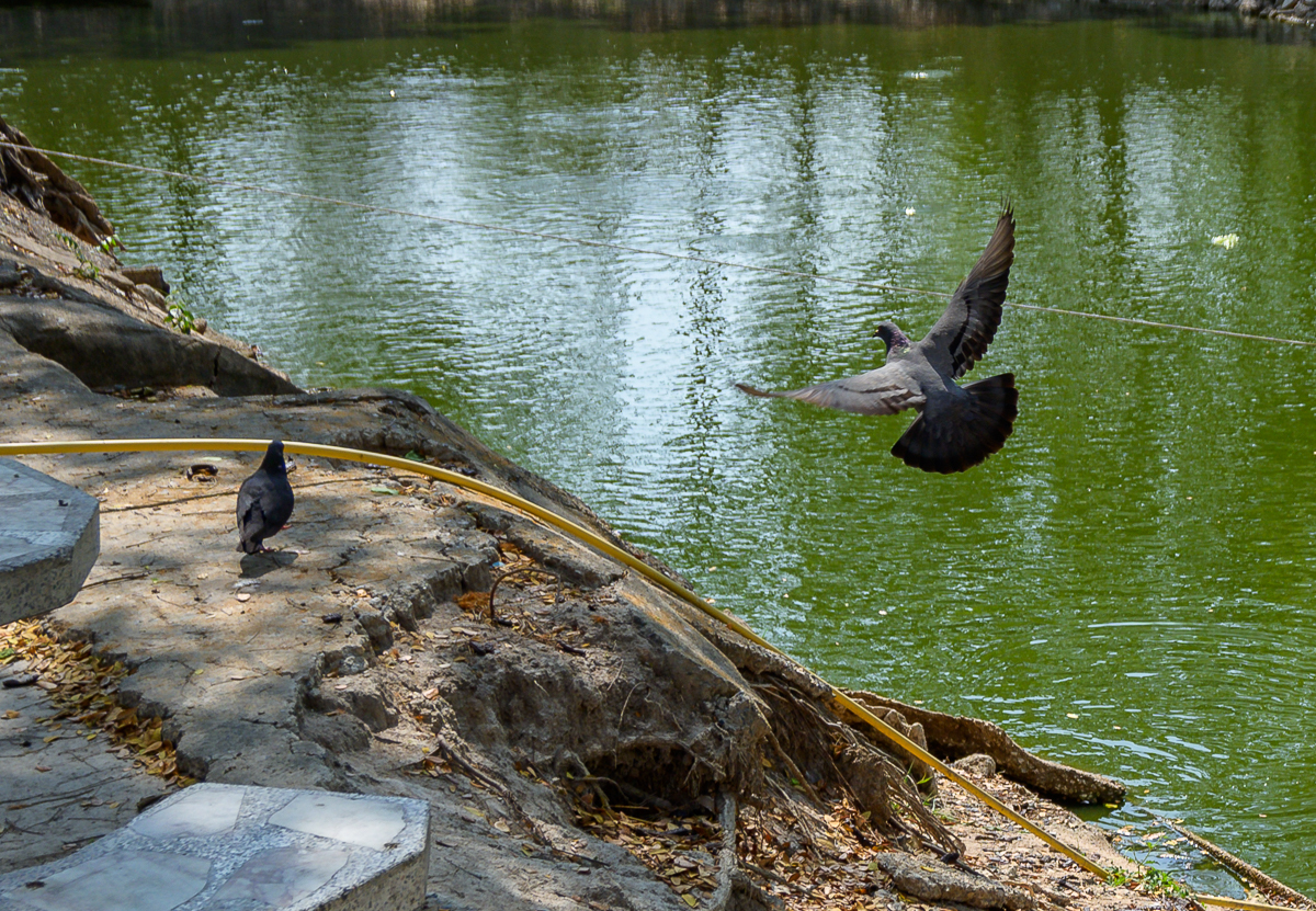 Click image for larger version

Name:	bif-3.jpg
Views:	72
Size:	1.25 MB
ID:	155017