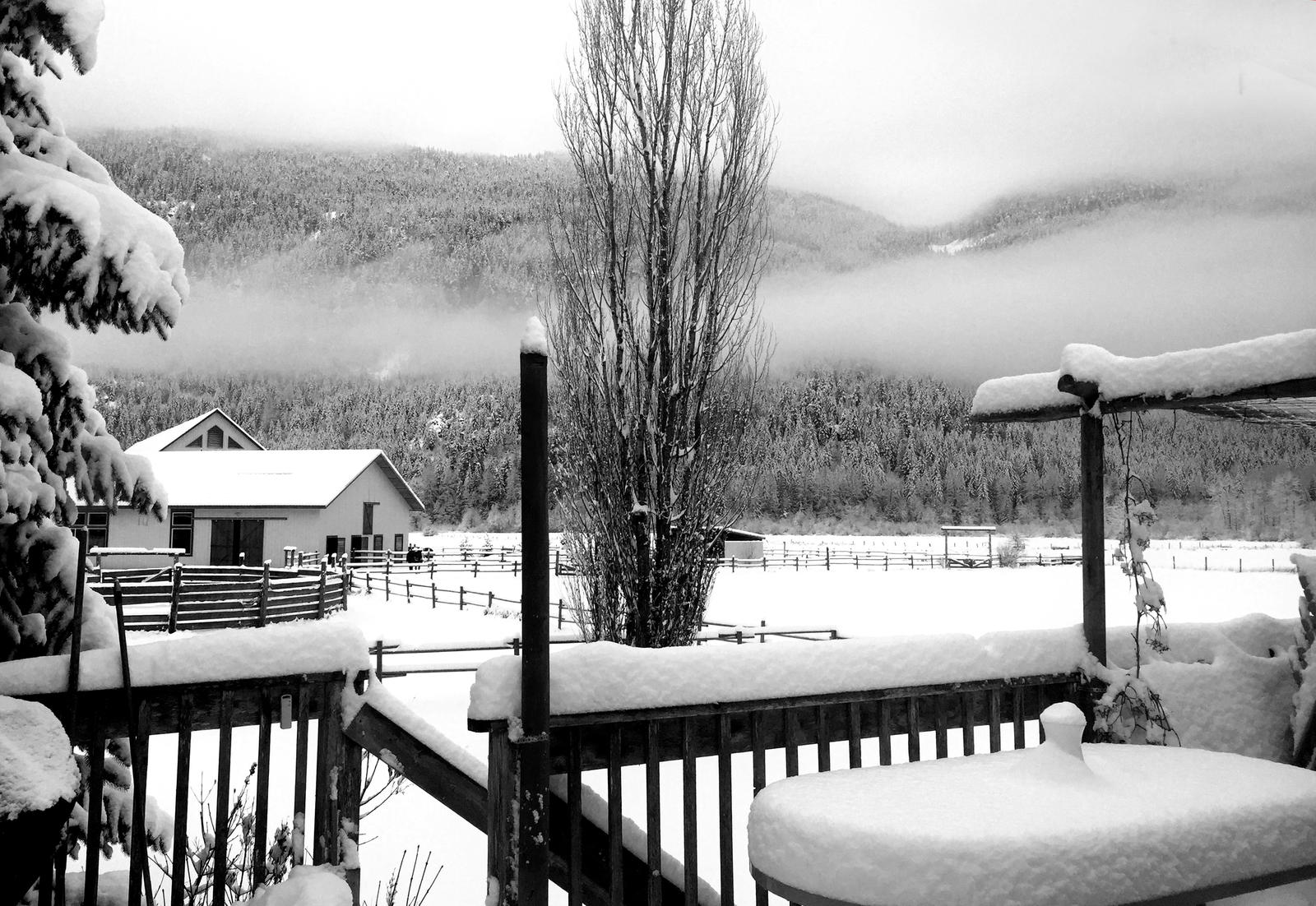 Click image for larger version

Name:	
Views:	0
Size:	334.4 KB
ID:	155032