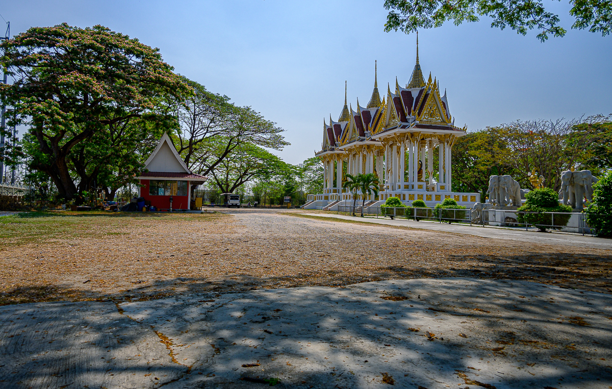 Click image for larger version

Name:	morning-1.jpg
Views:	62
Size:	1.33 MB
ID:	155039