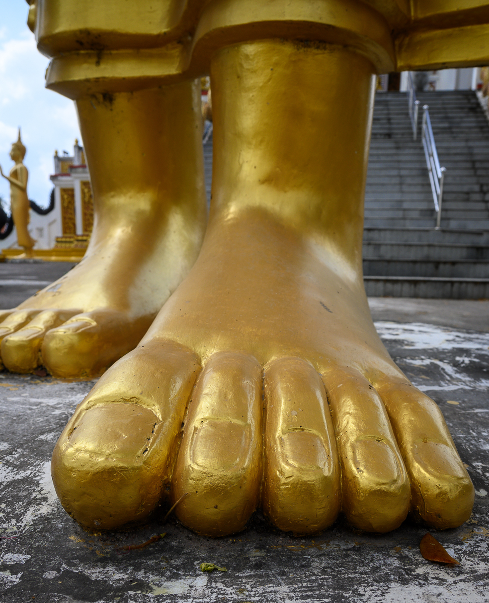 Click image for larger version

Name:	foot-1.jpg
Views:	64
Size:	1.02 MB
ID:	155116