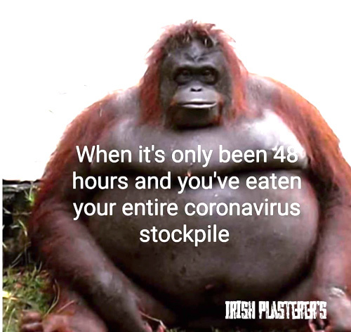 Click image for larger version

Name:	90304798_2638191046429956_861567596309250048_n.jpg
Views:	121
Size:	80.7 KB
ID:	155150