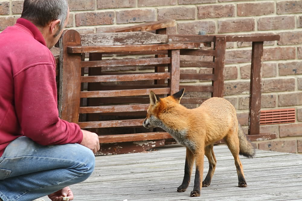 Click image for larger version

Name:	IMG_8448.jpg
Views:	61
Size:	127.0 KB
ID:	155471