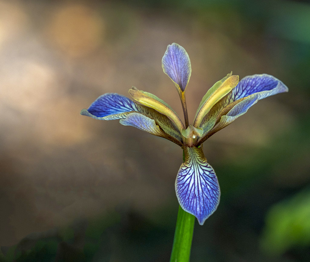 Click image for larger version

Name:	P6200002.jpg
Views:	78
Size:	258.6 KB
ID:	155634