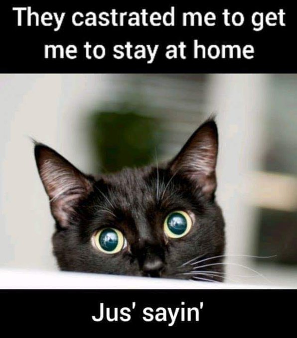 Click image for larger version

Name:	91803582_1311568589041076_954612599578689536_n.jpg
Views:	141
Size:	56.4 KB
ID:	155716