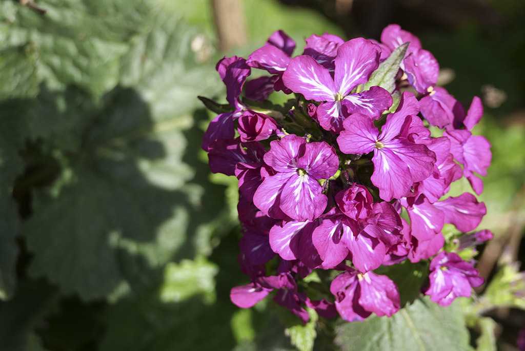 Click image for larger version

Name:	P1010025.jpg
Views:	107
Size:	212.2 KB
ID:	155744