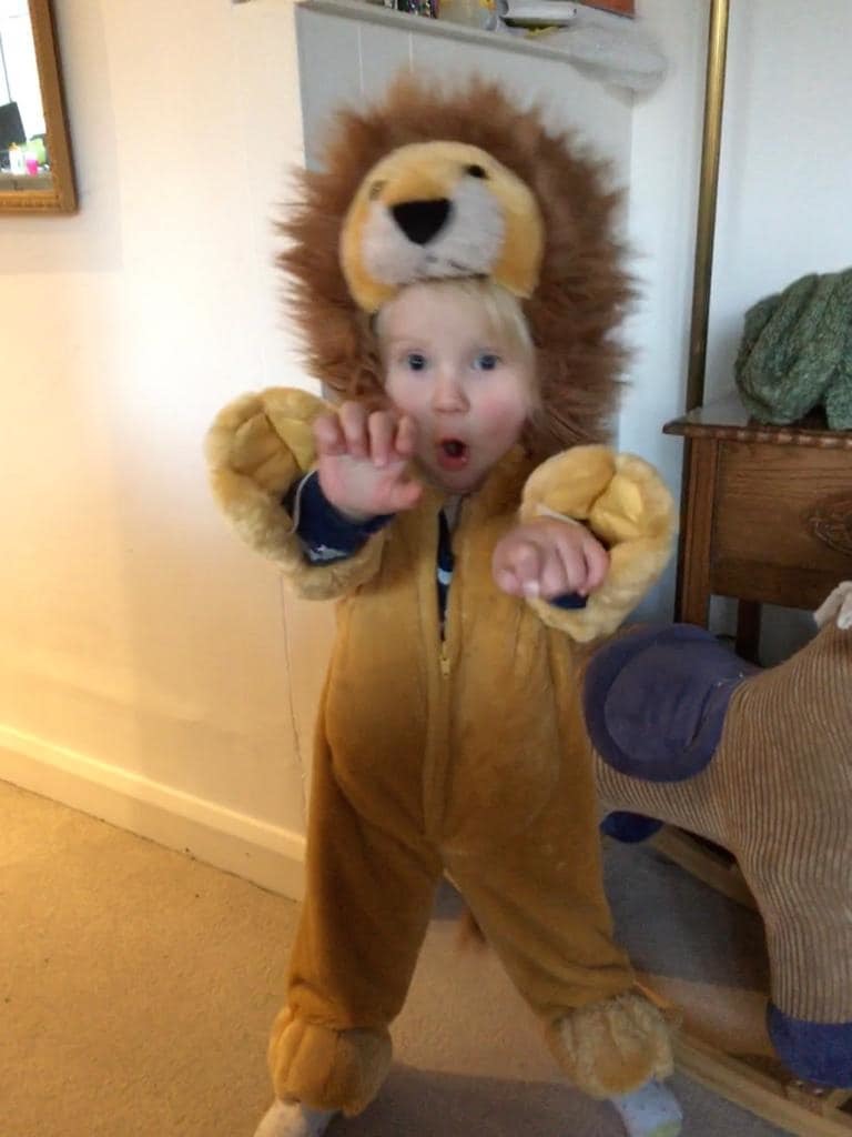 Click image for larger version

Name:	lion mae jane.jpg
Views:	73
Size:	71.5 KB
ID:	155806