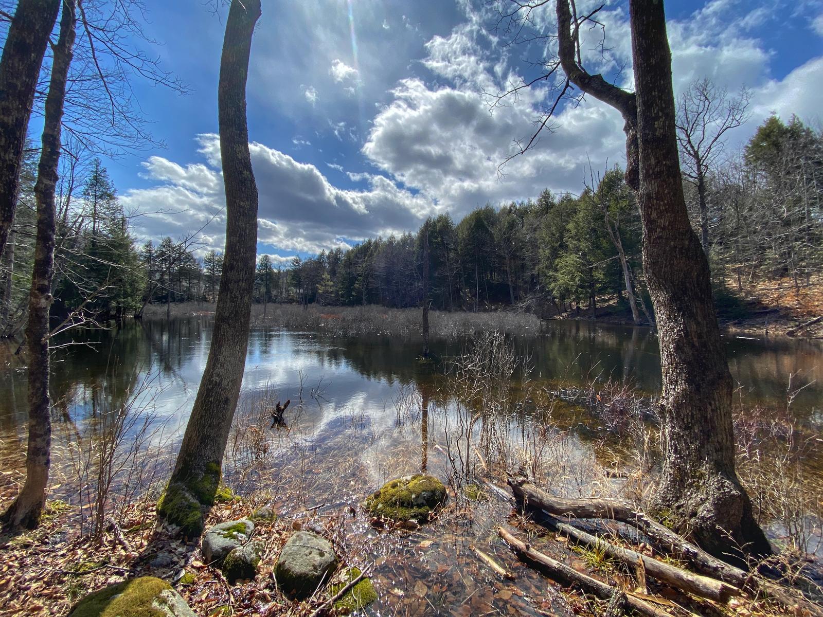 Click image for larger version

Name:	frog pond.JPG
Views:	227
Size:	453.8 KB
ID:	155865