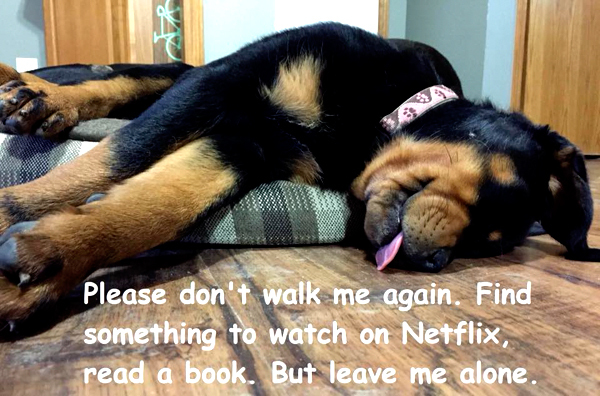 Click image for larger version

Name:	91812175_1124461067919219_8979327910582157312_n.jpg
Views:	118
Size:	219.4 KB
ID:	155935