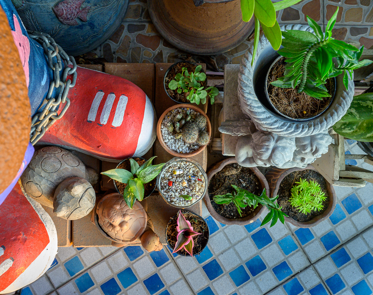 Click image for larger version

Name:	new--2.jpg
Views:	112
Size:	1.64 MB
ID:	156003