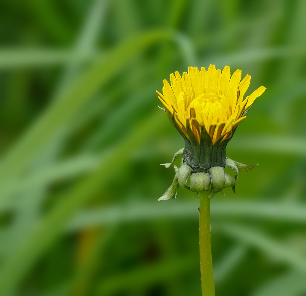 Click image for larger version

Name:	P4290065.jpg
Views:	75
Size:	126.4 KB
ID:	156019