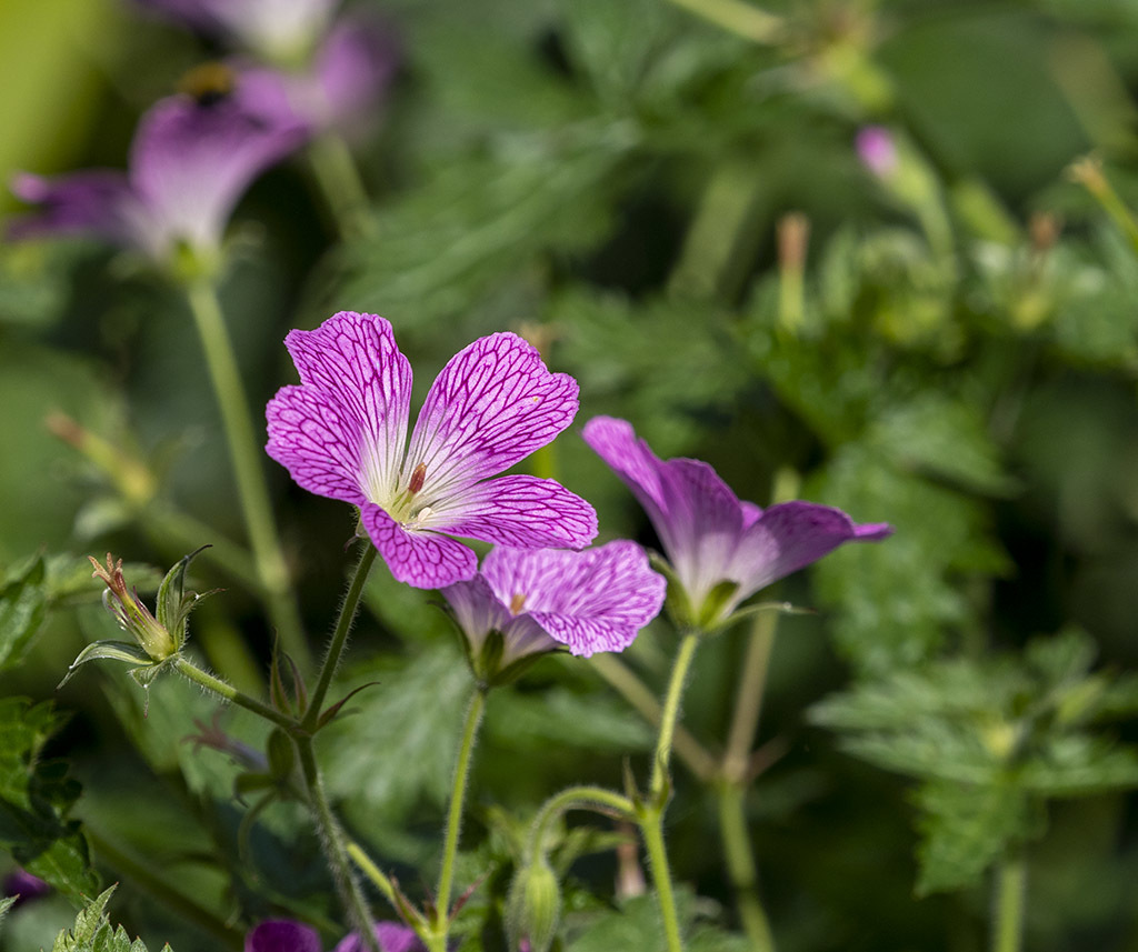 Click image for larger version

Name:	P6130154.jpg
Views:	84
Size:	228.6 KB
ID:	156021