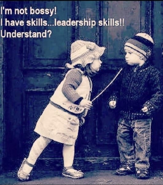 Click image for larger version

Name:	3D8137C6-DE23-4361-B122-CC5E3A7DBFDB.jpeg
Views:	95
Size:	124.4 KB
ID:	156026