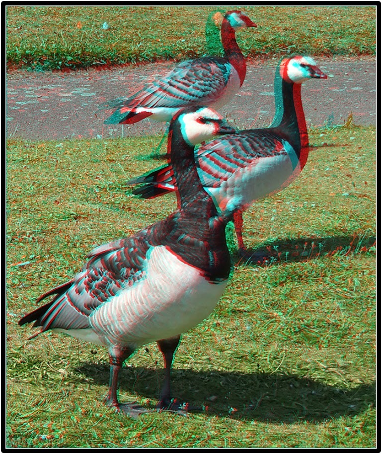 Click image for larger version

Name:	007-post_42658615542_o.jpg
Views:	110
Size:	362.5 KB
ID:	156098