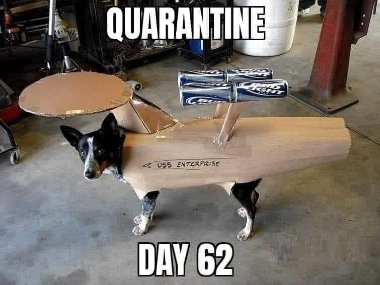 Click image for larger version

Name:	AD5CDEB9-1C6D-46AB-8857-FD659A407A5F.jpeg
Views:	114
Size:	70.5 KB
ID:	156180