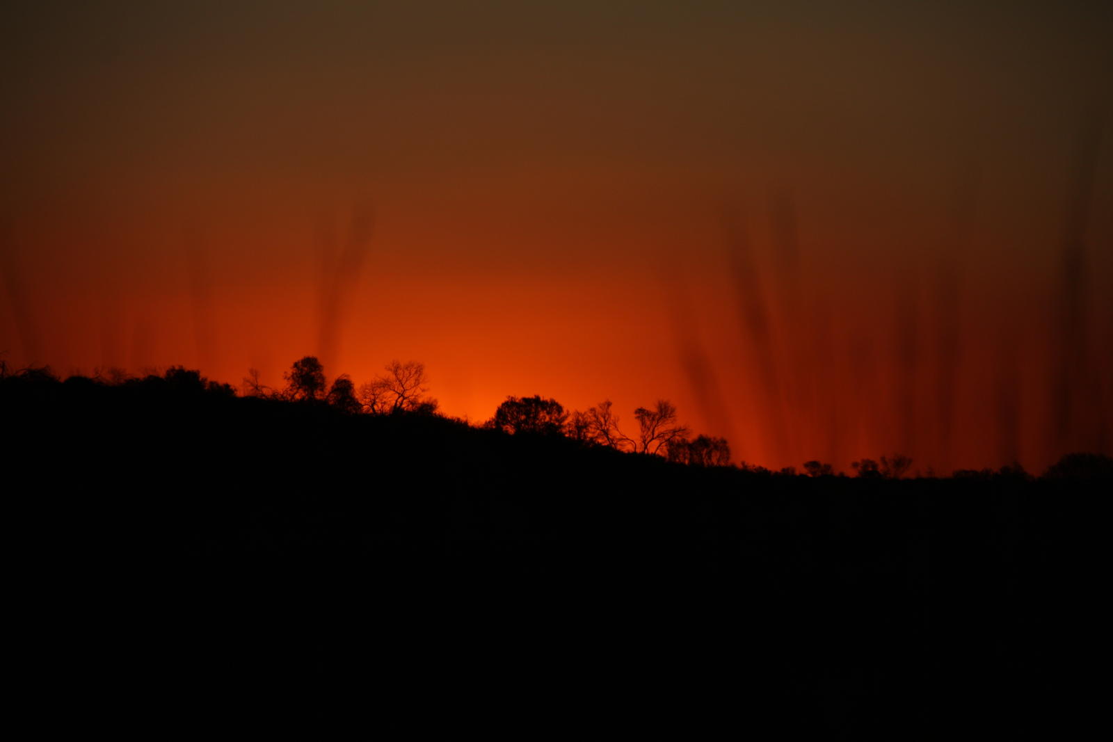 Click image for larger version  Name:	IMG_2445.JPG Views:	0 Size:	45.9 KB ID:	156295