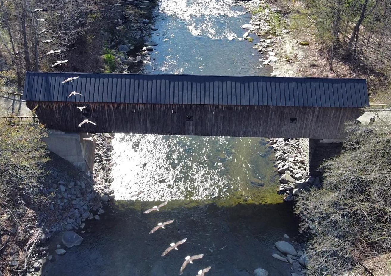 Click image for larger version

Name:	eagle in flight 3.jpg
Views:	91
Size:	765.2 KB
ID:	156397