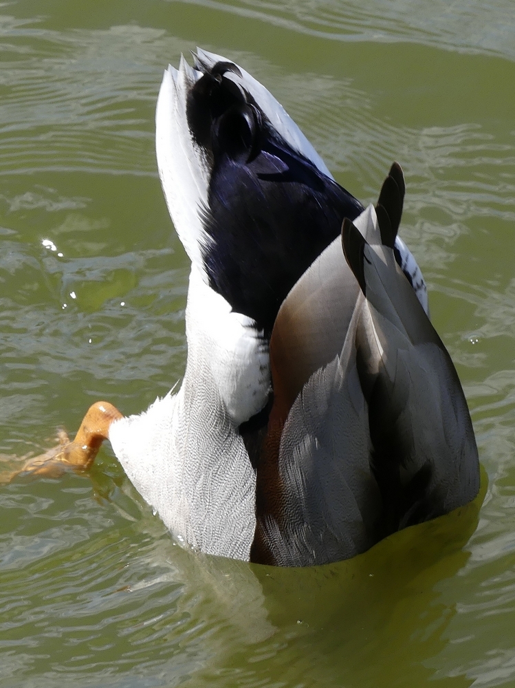 Click image for larger version  Name:	tn__1040569.JPG Views:	0 Size:	497.4 KB ID:	156400