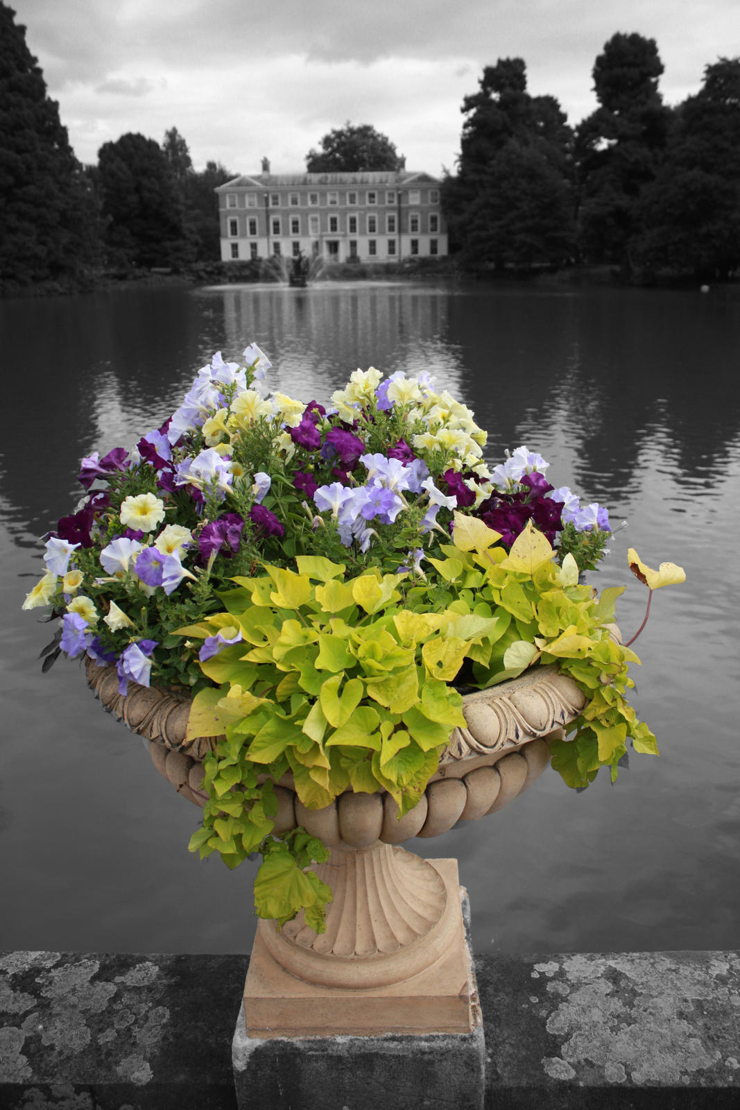 Click image for larger version

Name:	kew gardens pond-dpp.jpg
Views:	73
Size:	275.8 KB
ID:	156520