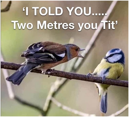 Click image for larger version

Name:	1589354846063.png
Views:	79
Size:	213.9 KB
ID:	156531