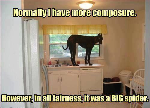 Click image for larger version

Name:	AA0542BD-E5E2-4D20-8D51-256A9A7D4B0D.jpeg
Views:	95
Size:	41.6 KB
ID:	156625