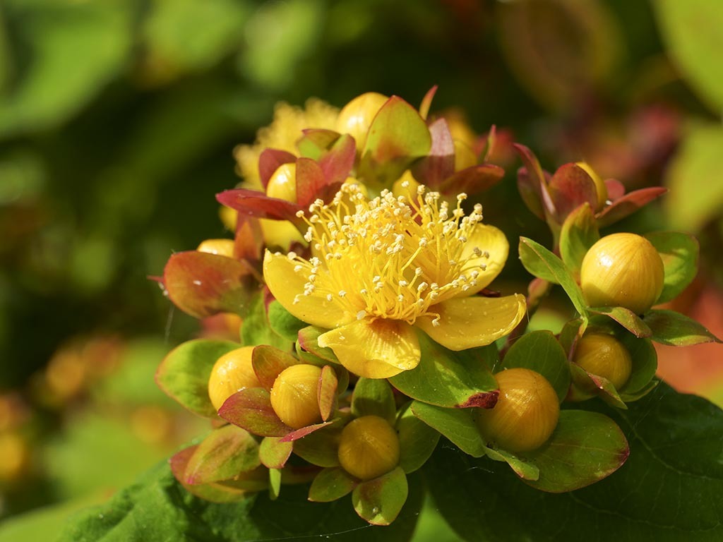 Click image for larger version

Name:	P1010072.jpg
Views:	78
Size:	131.2 KB
ID:	156644