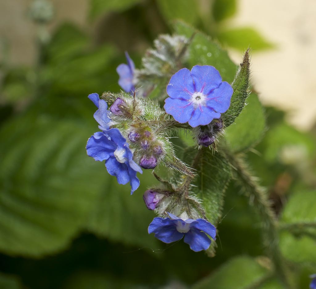 Click image for larger version

Name:	P1010075.jpg
Views:	76
Size:	128.6 KB
ID:	156642