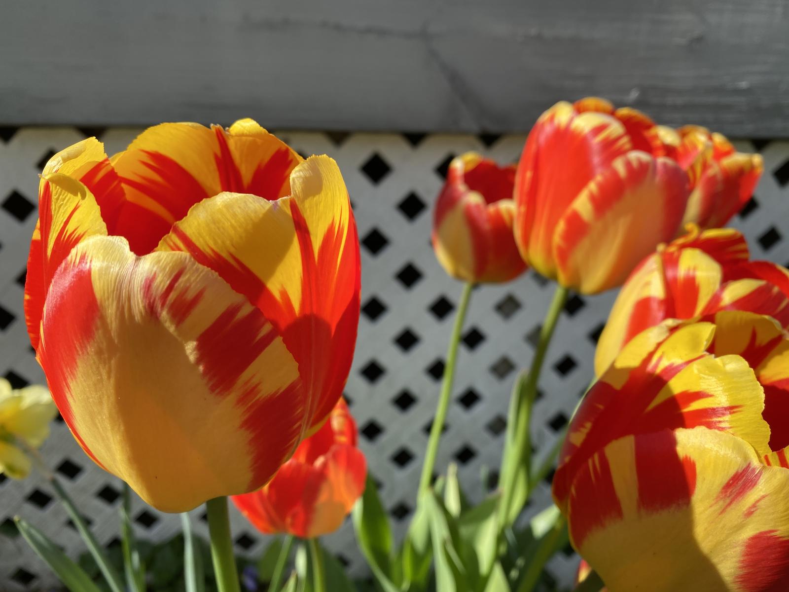 Click image for larger version  Name:	image_4014.jpg Views:	3 Size:	156.1 KB ID:	156655