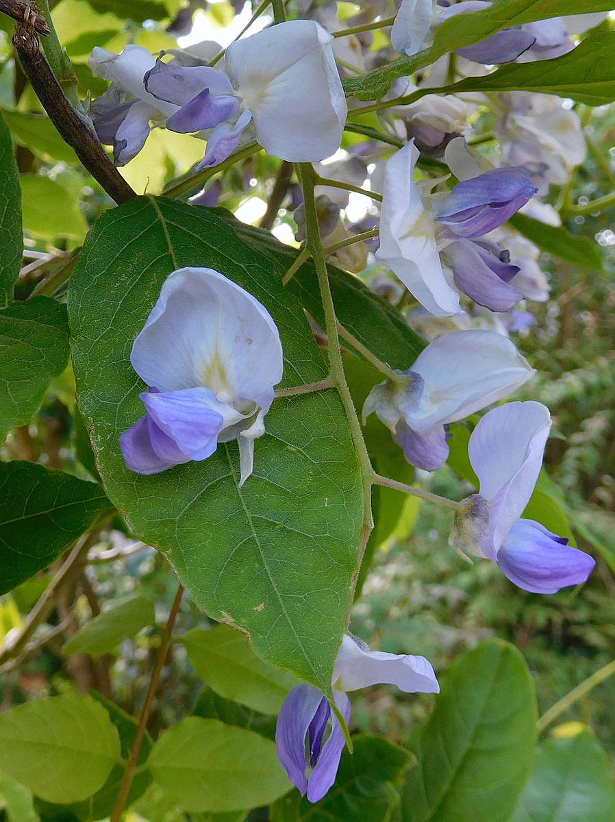 Click image for larger version

Name:	DSCN1192.JPG
Views:	115
Size:	261.7 KB
ID:	156728