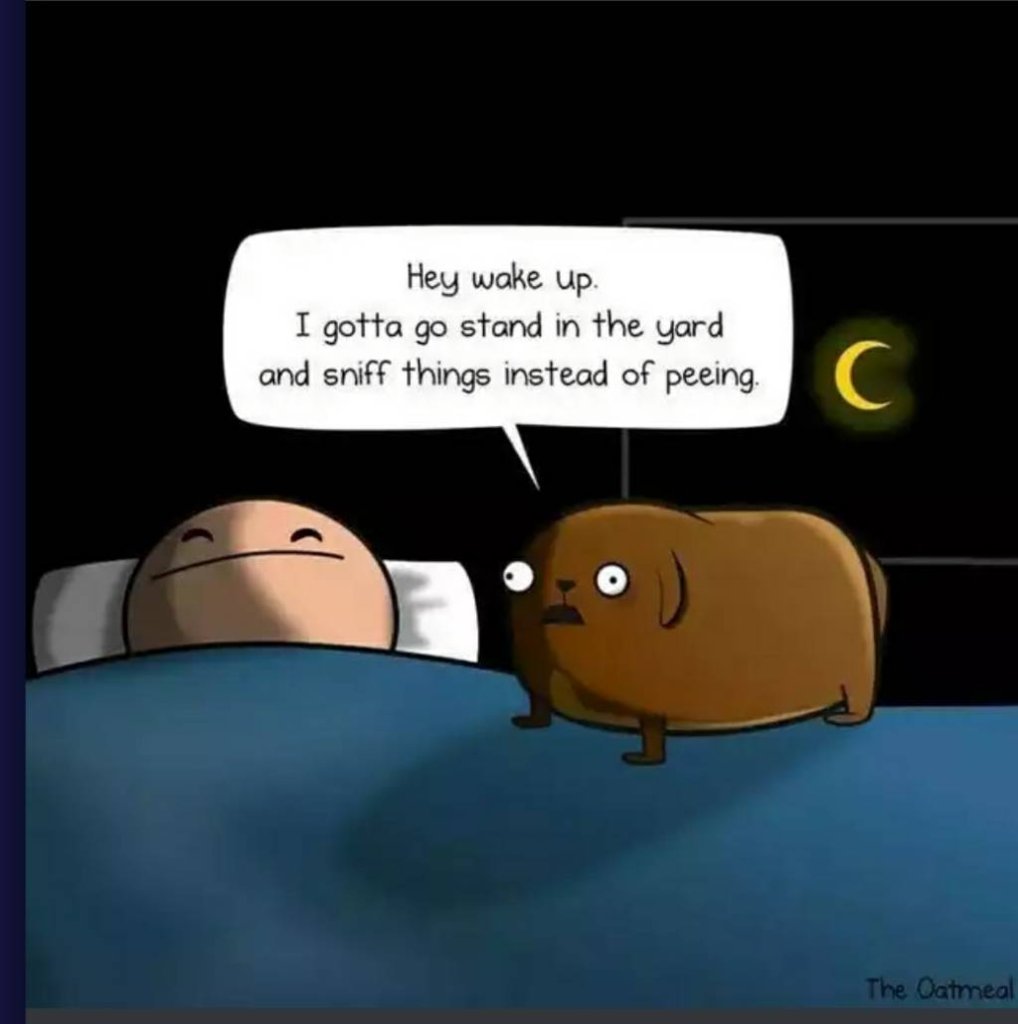 Click image for larger version

Name:	Screenshot_20200520-193042.jpg
Views:	100
Size:	56.7 KB
ID:	156784