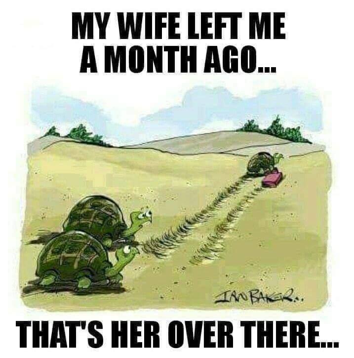 Click image for larger version

Name:	left.jpg
Views:	79
Size:	54.5 KB
ID:	156885