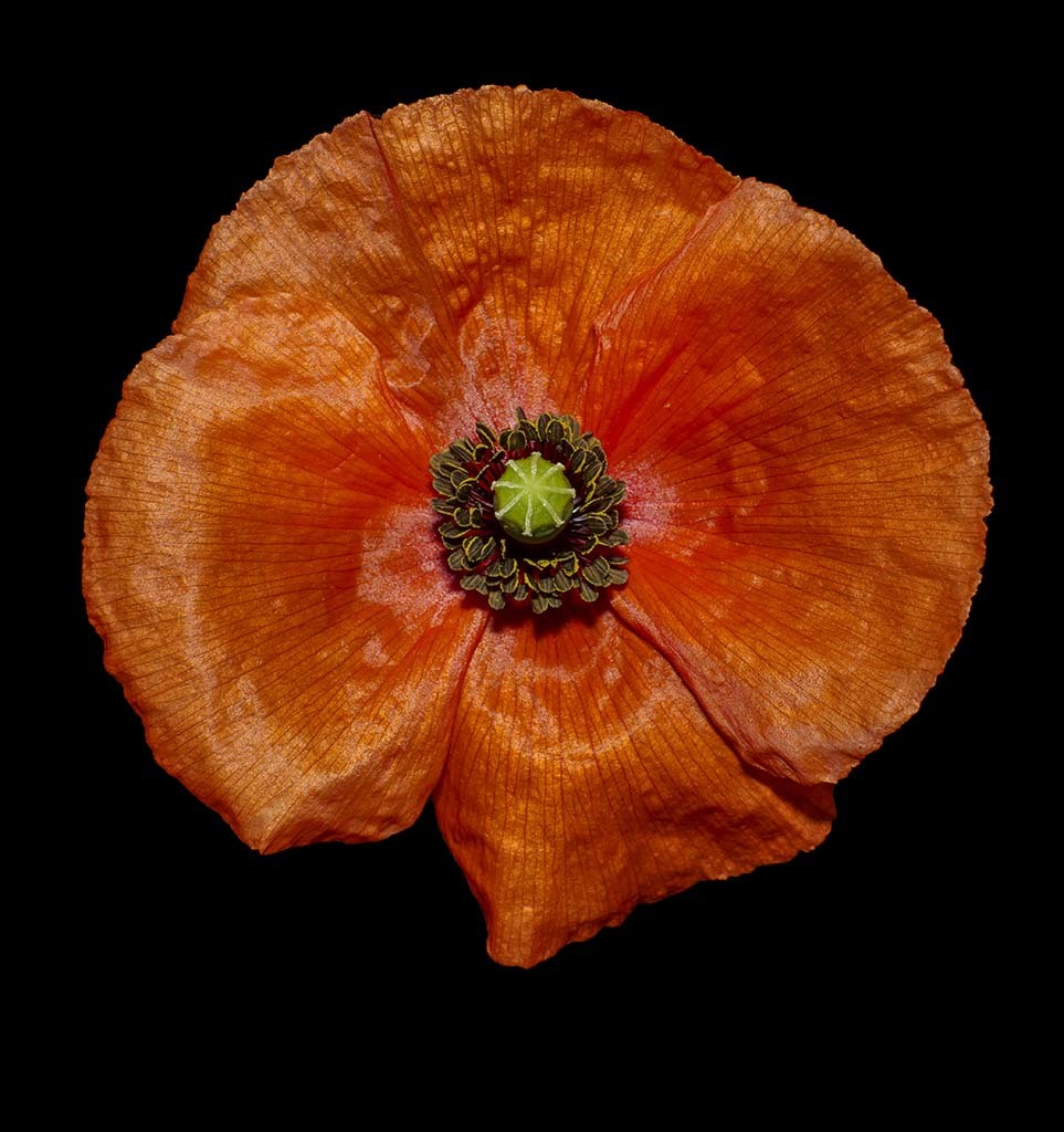 Click image for larger version  Name:	P1010080.jpg Views:	0 Size:	171.7 KB ID:	156890