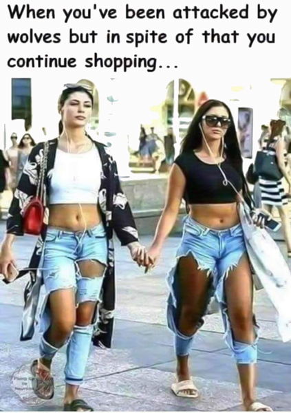 Click image for larger version

Name:	101167921_932863340467258_5832704512980156416_n.jpg
Views:	120
Size:	137.0 KB
ID:	156953