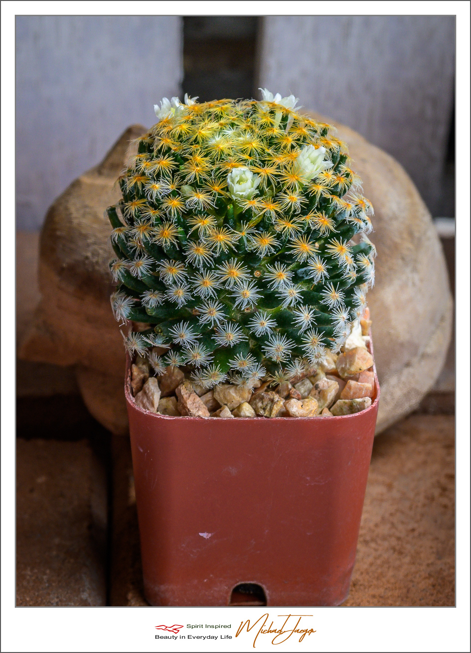 Click image for larger version

Name:	cac-1.jpg
Views:	70
Size:	810.5 KB
ID:	156962