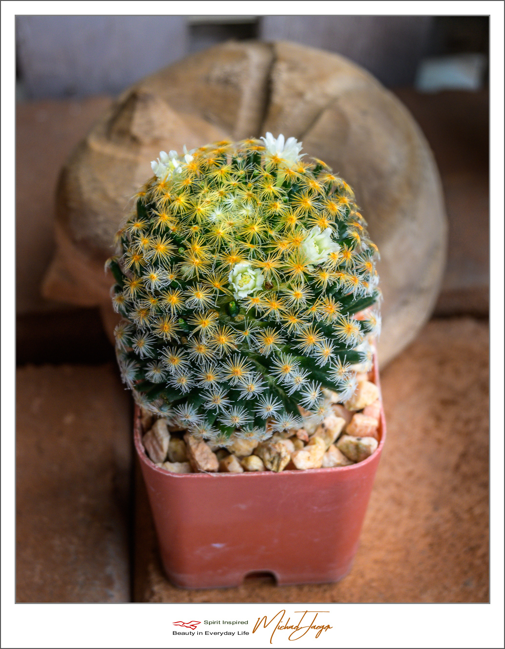 Click image for larger version

Name:	cac-2.jpg
Views:	68
Size:	877.3 KB
ID:	156963