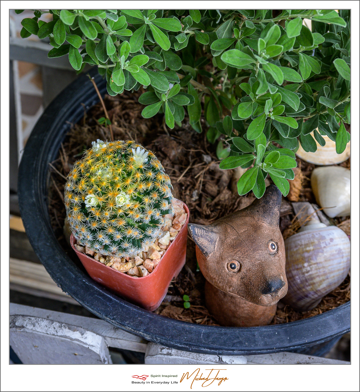 Click image for larger version

Name:	cac-4.jpg
Views:	73
Size:	1.25 MB
ID:	156964