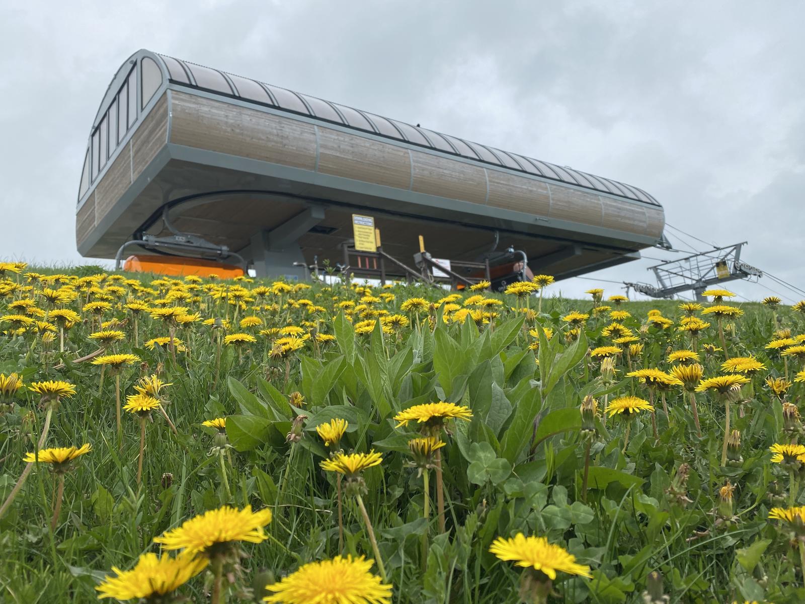 Click image for larger version

Name:	IMG_0106.JPG
Views:	67
Size:	302.1 KB
ID:	156979