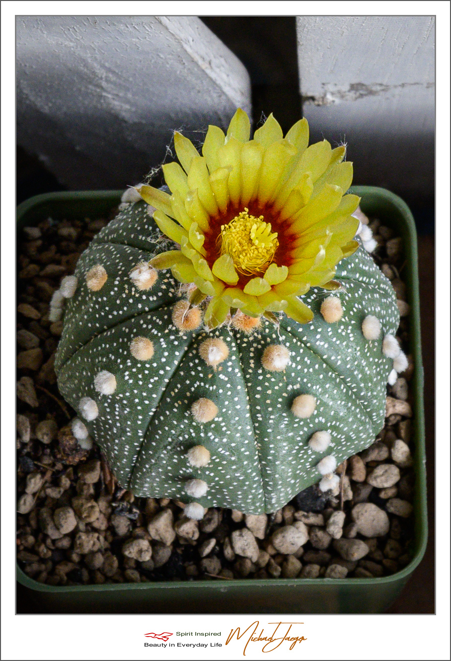 Click image for larger version

Name:	test-1-2.jpg
Views:	66
Size:	877.0 KB
ID:	156988