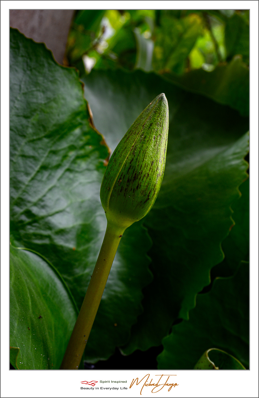 Click image for larger version

Name:	ype-front-3.jpg
Views:	62
Size:	586.3 KB
ID:	157010