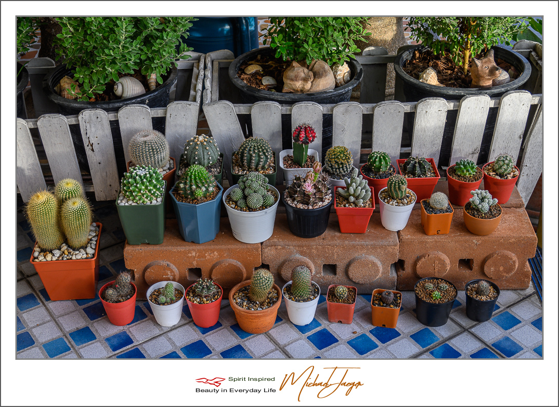 Click image for larger version

Name:	sensemath-banbueng-ype-(2-of-2).jpg
Views:	55
Size:	742.5 KB
ID:	157026