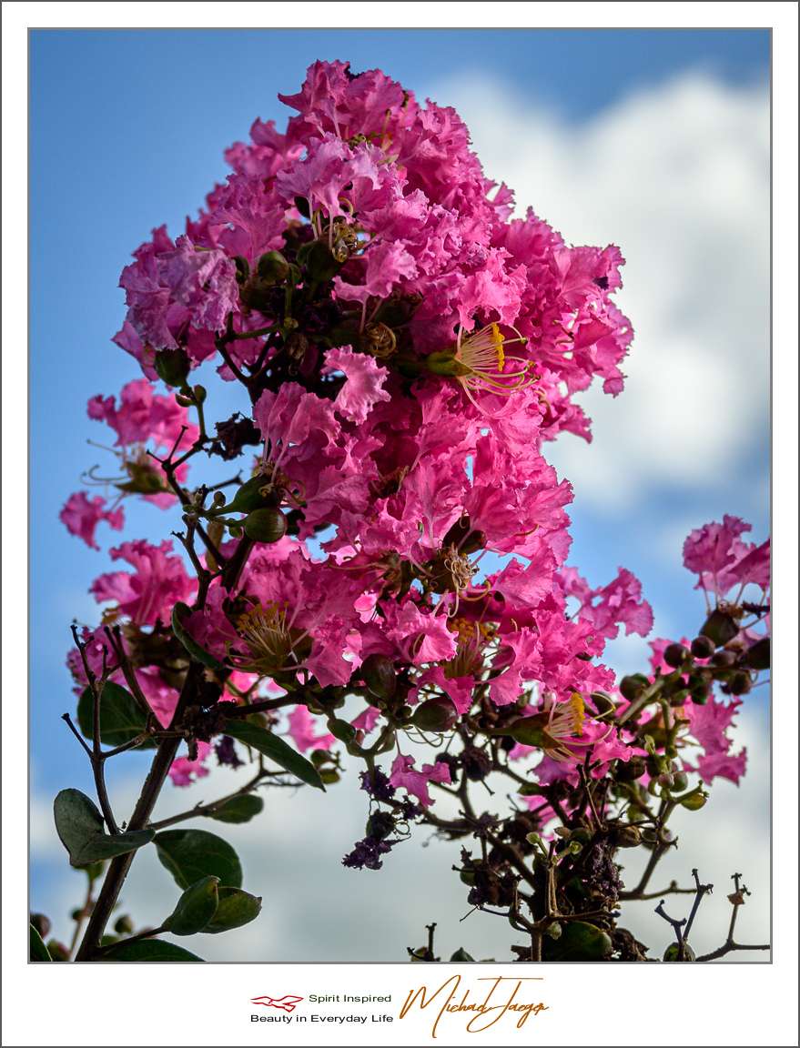 Click image for larger version

Name:	pnkish-blue-(1-of-4).jpg
Views:	50
Size:	732.8 KB
ID:	157057