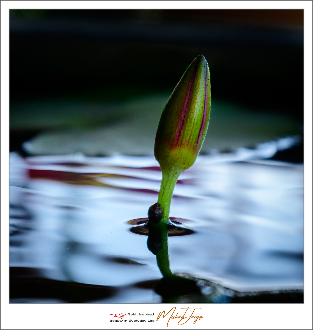 Click image for larger version

Name:	water.jpg
Views:	50
Size:	462.4 KB
ID:	157092