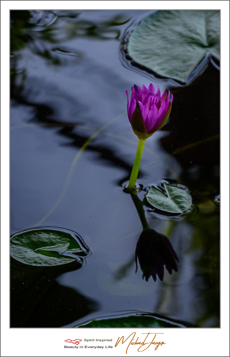 Click image for larger version

Name:	shadow-(1-of-4).jpg
Views:	57
Size:	376.4 KB
ID:	157094